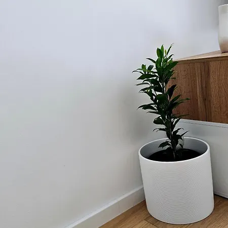 公寓 Apartman 希贝尼克